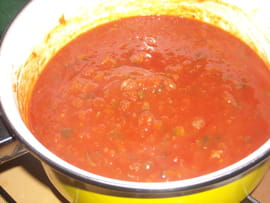 Sauce tomate aux l�gumes
