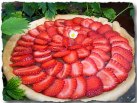tarte-aux-fraises-et-compote-de-rhubarbe-epicee.jpg