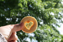 Biscuits vitraux