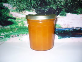 Confiture d abricot rapide
