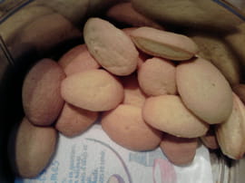 Madeleines au citron Dukan