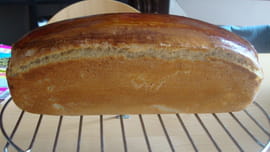 Pain de mie Dukan