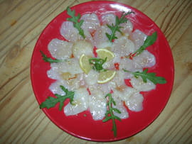 Carpaccio de Saint-jacques