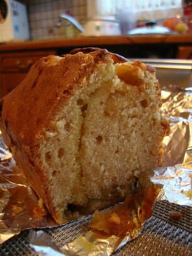 Cake sucr� aux crocodiles