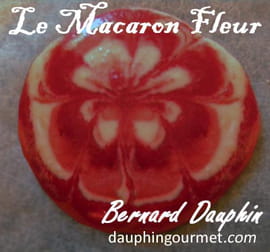 Macarons fleurs ou marbr�s