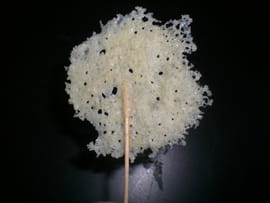 Sucettes au parmesan