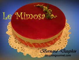 Le mimosa