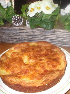 G�teau de coco aux fruits
