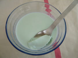 Panna cotta � la menthe