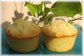 Moelleux citron pavot
