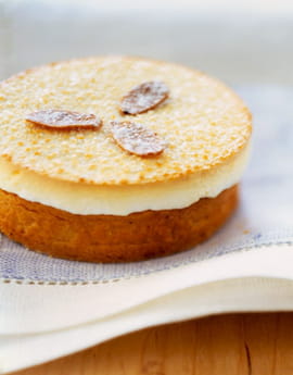 Cheese Cake