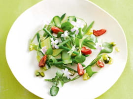 Salade de courgette, haricot et cerise, sauce pistache