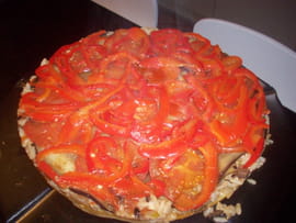 Tatin de l�gumes du soleil
