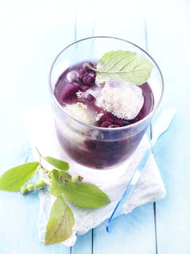 Soda aux myrtilles sauvages avec des fleurs de sureau et de la menthe
