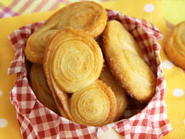 Les palmiers maison