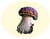 C�pe