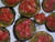 Bruschettas d aubergine au pesto