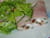 Roul�s de jambon blanc au Saint-Moret