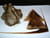 C�tes d agneau et pissaladi�re en samoussa