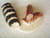 Blanc de dinde au persil, cr�pinette d asperge