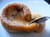 Extra coulants de caramel � la fleur de sel