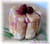 Charlotte light aux framboises