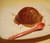 Petits d�mes choco-Bailey s