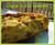 Clafoutis � la rhubarbe