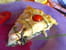 Tarte aux �pinards et au ch�vre