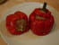 Poivrons farcis
