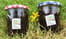 Gel�e de groseilles