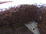 Gâteau Choco-coco