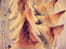 Triangles croquants ch�vre m�che