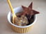 Compote de pommes aux amandes, �toiles � cannelle