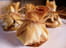 Aum�ni�res normandes en feuilles de bricks