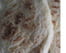Cheese naan