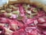 Tarte rapide fraises et rhubarbe