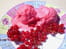Sorbet � la groseille