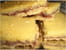 Pav�s � la confiture