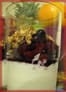 Fromage blanc aux fruits rouges