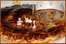 Galette des rois � la mirabelle