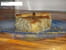Tarte � l oignon en direct d Alsace
