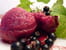 Sorbet au cassis