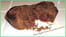 Moelleux chocolat fourr�s � la framboise