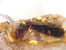 Pastilla au chocolat, fruits secs et caramel