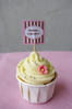 Pure vanilla cupcakes
