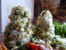 Filets de plie au parmesan, aux anchois et aux �pinards