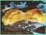 Chaussons aux pommes et citrons