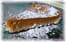Pumpkin pie
