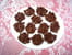 Roses des sables au chocolat